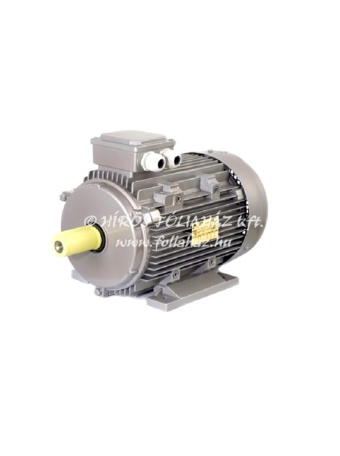 ONLY THE 400V GEAR MOTOR