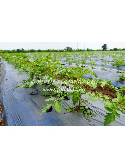 BIODEGRADABLE BLACK MULCHING FILM