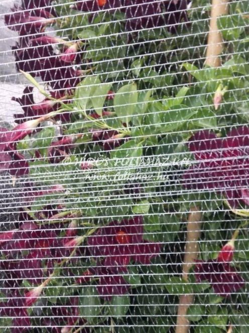 CC KOCSI HÁLÓ MANUÁLIS 45cm SZÉLES, 500m/tek