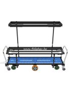 CSŐSÍNEN FUTÓ KÖZEPES TEHERBÍRÁSÚ KÉZI SZEDŐKOCSI WDZ-09