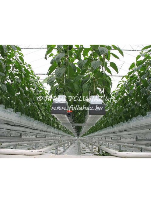 TERMESZTŐCSATORNA RENDSZER PAPRIKÁHOZ