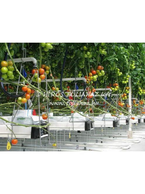 TERMESZTŐCSATORNA RENDSZER PARADICSOMHOZ