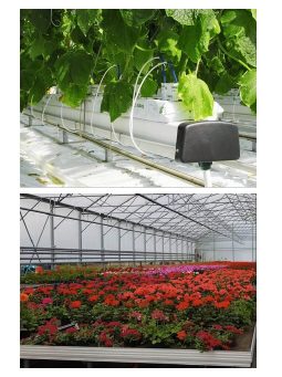 TERMESZTŐ RENDSZEREK