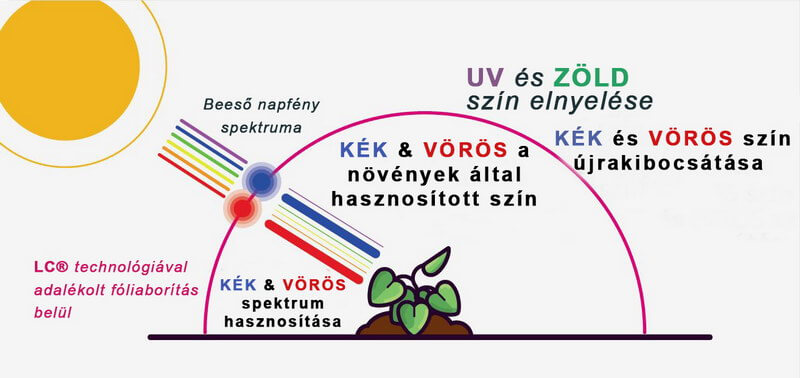 Beeső fény spektruma Sun fólia borítású fóliaházban