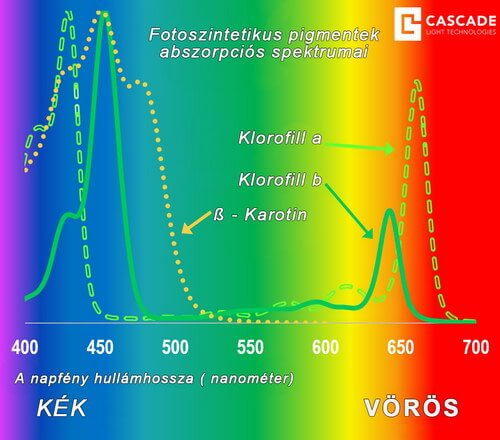 Fotoszintetikus pigmentek abszorpciós spektrumai